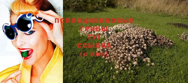 винт Абинск