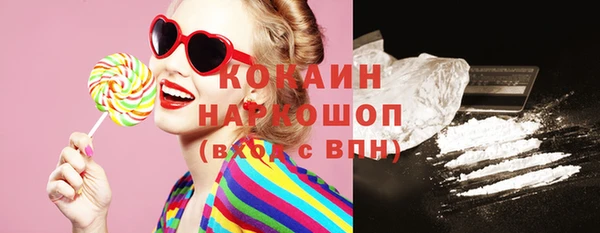 индика Щигры