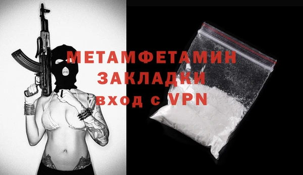 индика Щигры